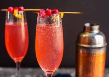 Cranberry Champagne Cocktail – Foodology Geek