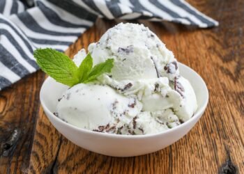 Mint Chocolate Ice Cream – Barefeet within the Kitchen